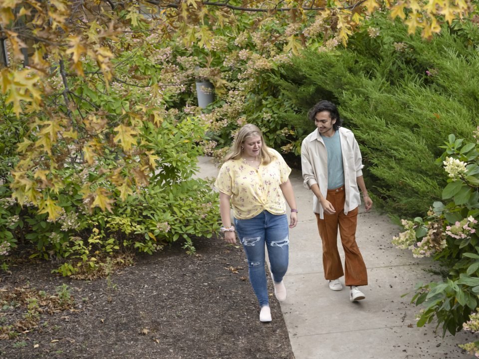 Two students walking along a path on campus